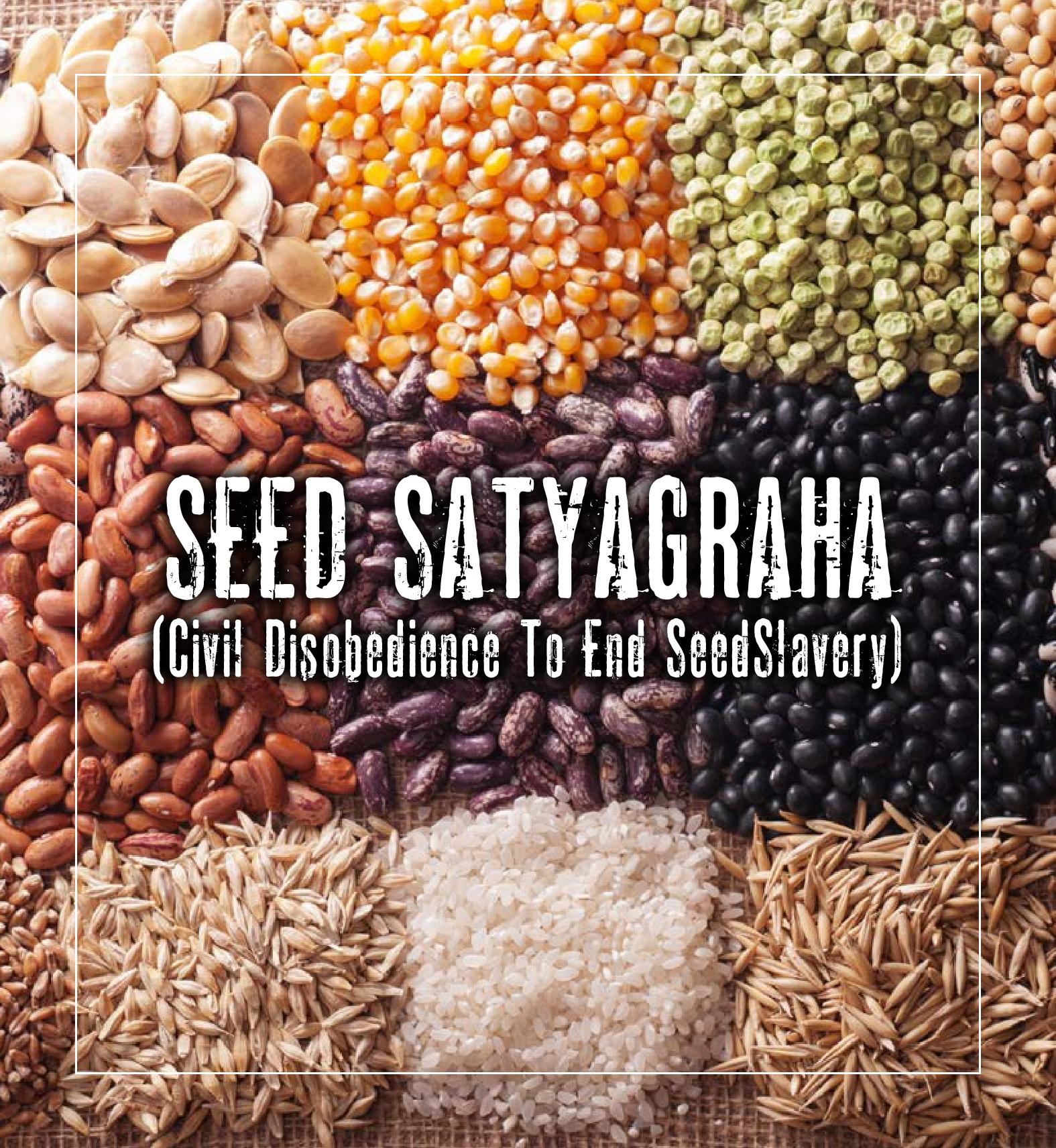 Seed-Satyagraha-Booklet-1-page-001.jpg - 551.53 kb