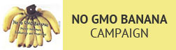 no-gmo-banana.jpg - 6.93 kb