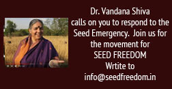 vs-seedfreedom.jpg - 11.92 kb