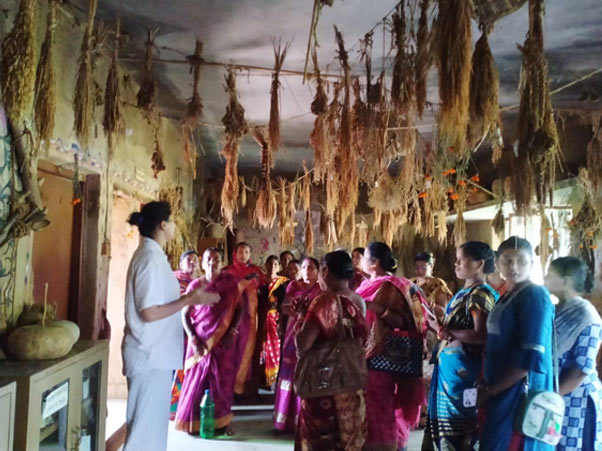 Bija Swaraj Seed sovereignty training in the Community Seed Bank of Navdanya Biodiversity Conservation Farm