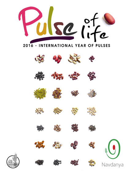 pulse-festival-16.jpg - 33.14 kb