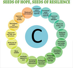 Seeds of Hope Report