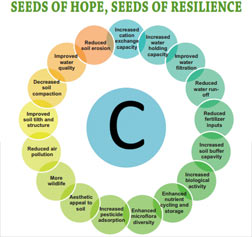 seeds-of-hope-report-i.jpg - 16.18 kb